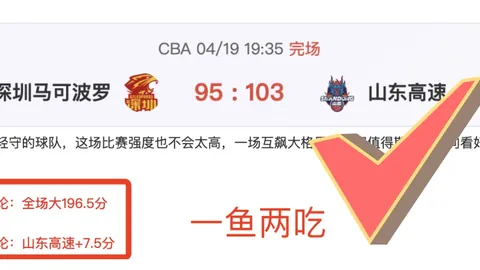 意甲帕尔马VS比萨：专家期号推荐质合分析